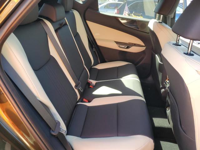 Photo 11 from auction – 2024 LEXUS NX 350 BAS with VIN 2T2AGCEZXRC043803