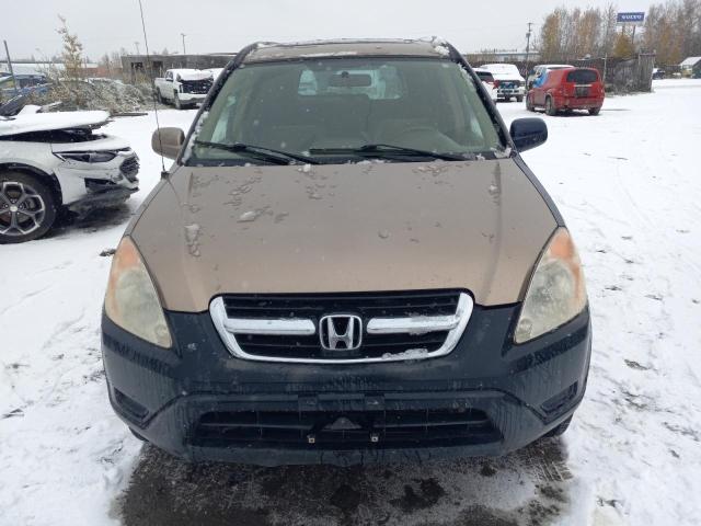 Photo 5 from auction – 2004 HONDA CR-V with VIN JHLRD788X4C048983