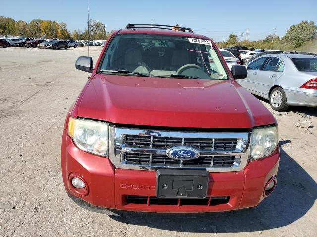 Photo 5 from auction – 2010 FORD ESCAPE XLT with VIN 1FMCU9D77AKB43235