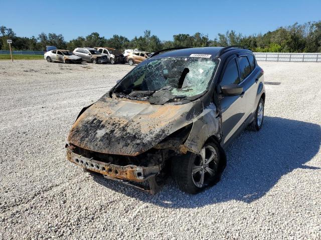 FORD ESCAPE SE 2016 with VIN 1FMCU0GX1GUA04593 - Photo from auction