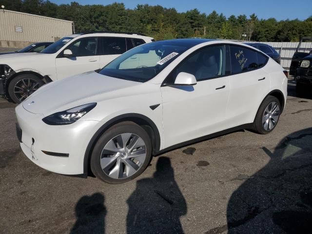 TESLA MODEL Y 2023 with VIN 7SAYGDEE9PA125245 - Photo from auction