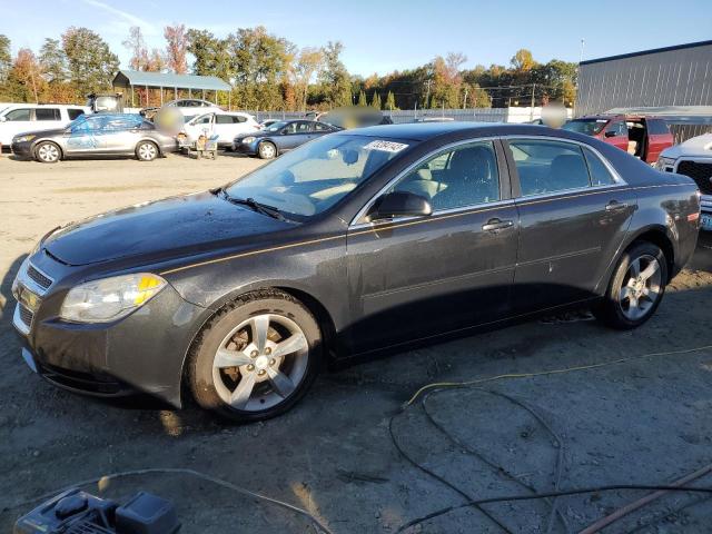 CHEVROLET MALIBU LS 2012 with VIN 1G1ZB5E04CF109224 - Photo from auction