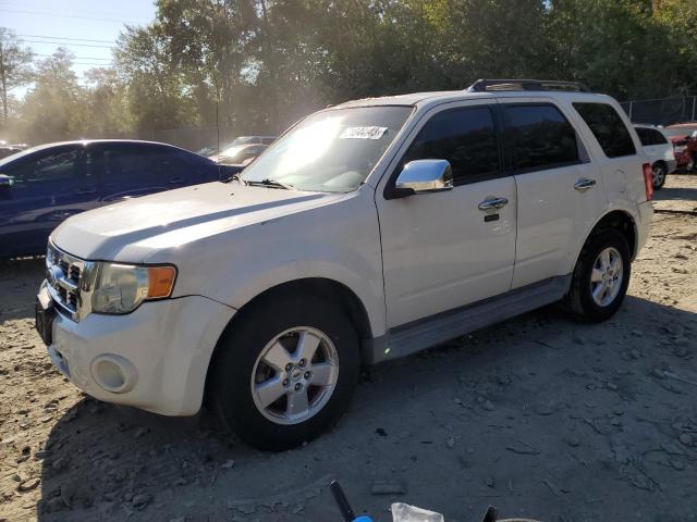 FORD ESCAPE XLT 2009 with VIN 1FMCU03G09KA09210 - Photo from auction
