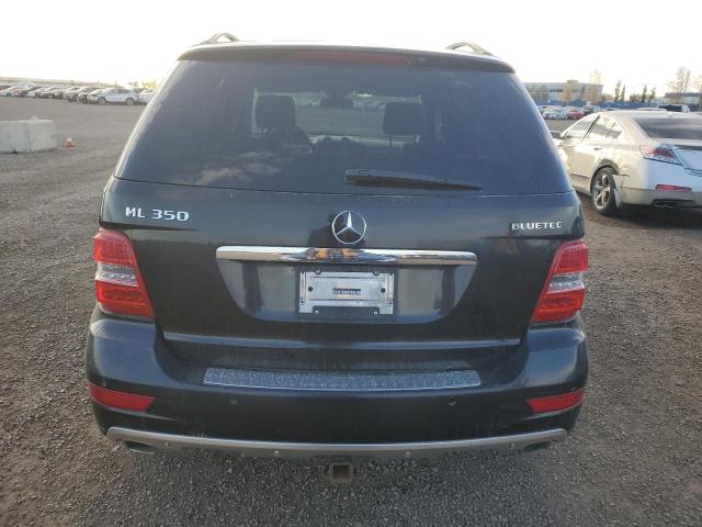 Photo 6 from auction – 2010 MERCEDES-BENZ ML 350 BLU with VIN 4JGBB2FB6AA579459