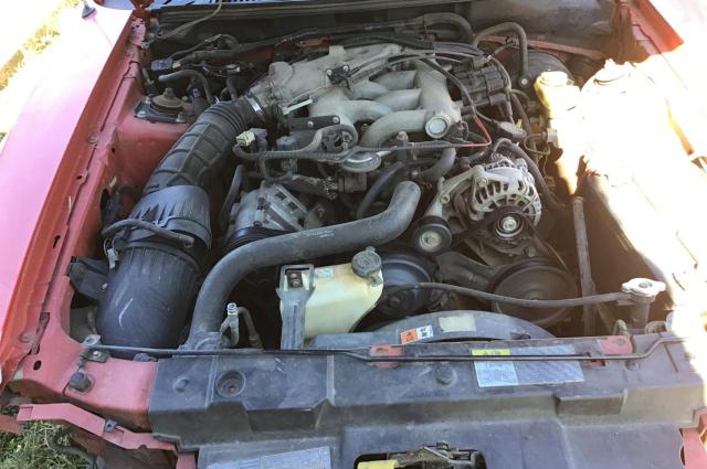 Photo 7 from auction – 2001 FORD MUSTANG with VIN 1FAFP40431F103191