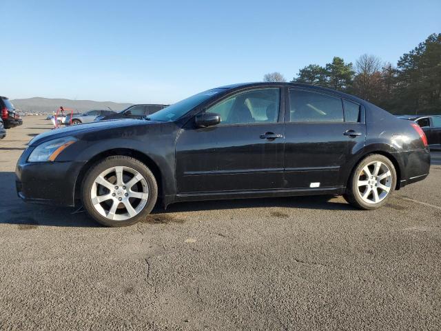 NISSAN MAXIMA SE 2008 z numerem VIN 1N4BA41E88C836257 - Zdjęcie z aukcji