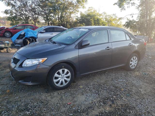 TOYOTA COROLLA BA 2010 with VIN 2T1BU4EE5AC259177 - Photo from auction