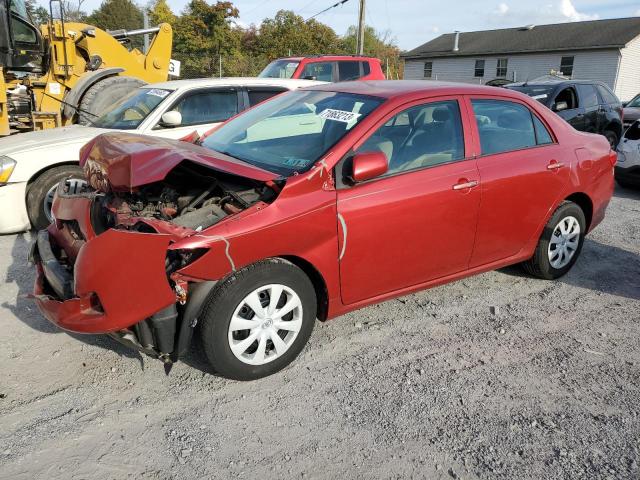 TOYOTA COROLLA BA 2010 with VIN 2T1BU4EE7AC534760 - Photo from auction