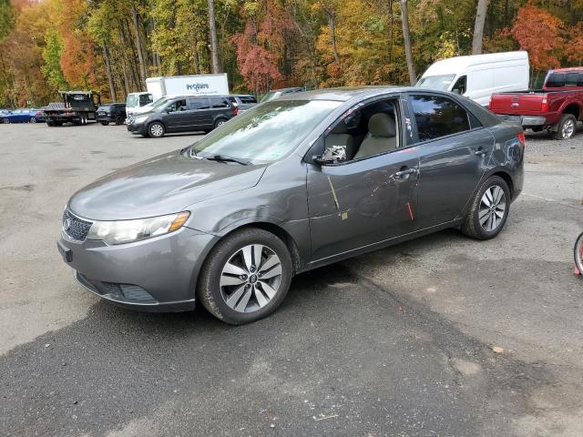 KIA FORTE EX 2013 with VIN KNAFU4A25D5716050 - Photo from auction