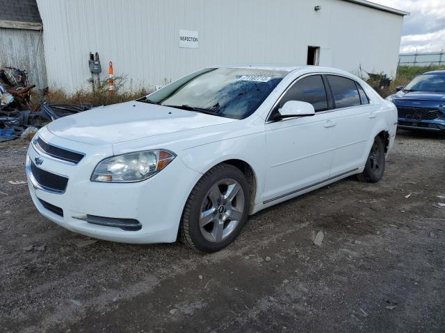 Photo 1 from auction – 2010 CHEVROLET MALIBU 1LT with VIN 1G1ZC5EB9AF259082