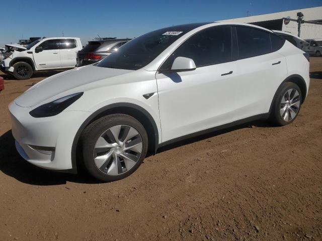 TESLA MODEL Y 2023 with VIN 7SAYGDEE3PF842095 - Photo from auction