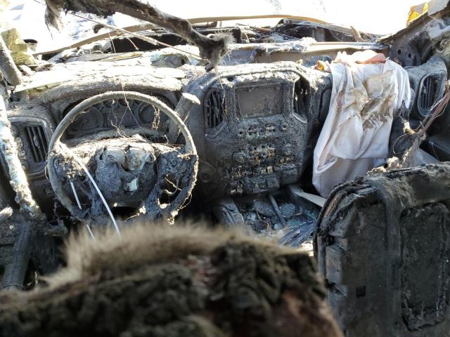 Photo 8 from auction – 2020 CHEVROLET SILVERADO with VIN 1GC4YPEY3LF302823