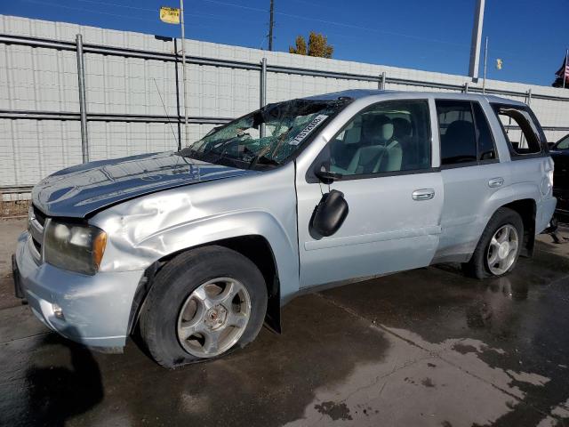 CHEVROLET TRAILBLAZE 2008 with VIN 1GNDT13S782164946 - Photo from auction