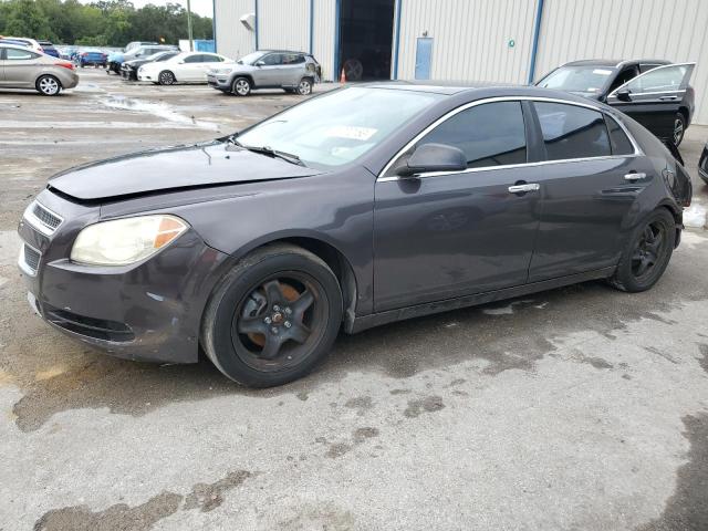 CHEVROLET MALIBU LS 2010 with VIN 1G1ZB5EB6AF271743 - Photo from auction