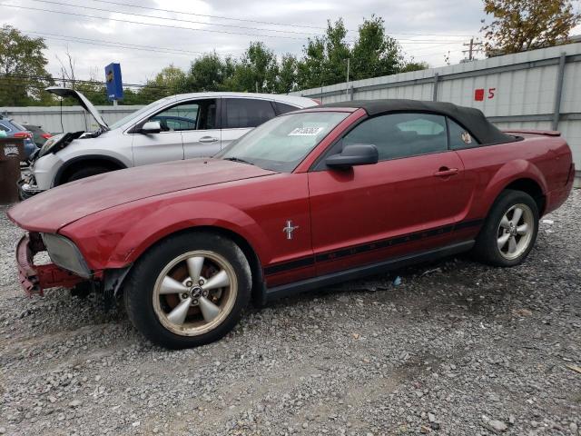 FORD MUSTANG 2007 with VIN 1ZVHT84N075267339 - Photo from auction