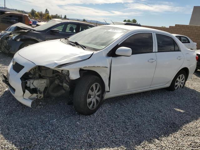 TOYOTA COROLLA BA 2010 with VIN 1NXBU4EE6AZ171012 - Photo from auction
