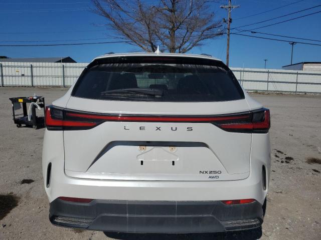 Photo 6 from auction – 2022 LEXUS NX 250 with VIN JTJADCEZ7N5000392