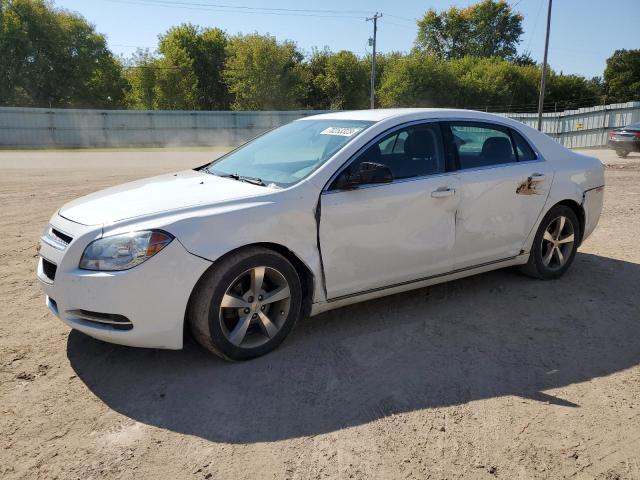CHEVROLET MALIBU 1LT 2011 with VIN 1G1ZC5E11BF345690 - Photo from auction