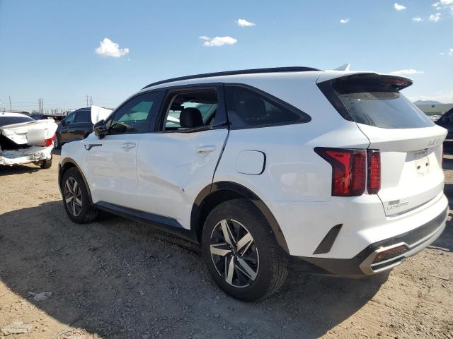 Photo 2 from auction – 2023 KIA SORENTO S with VIN 5XYRL4LC3PG206526