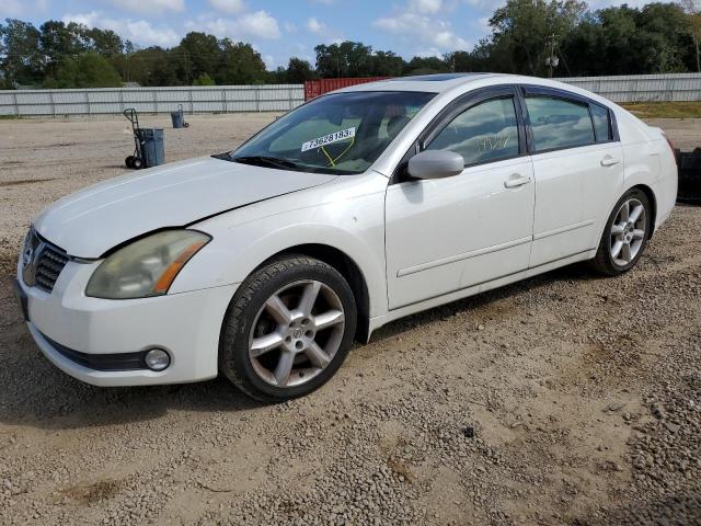 NISSAN MAXIMA SE 2005 with VIN 1N4BA41E65C865946 - Photo from auction