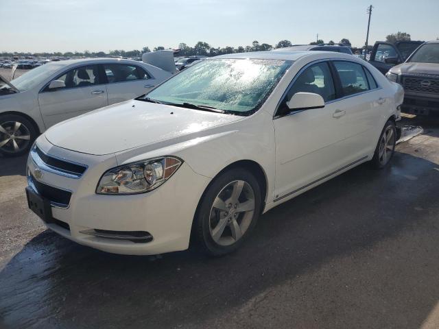 CHEVROLET MALIBU 2LT 2009 with VIN 1G1ZJ57B49F219930 - Photo from auction