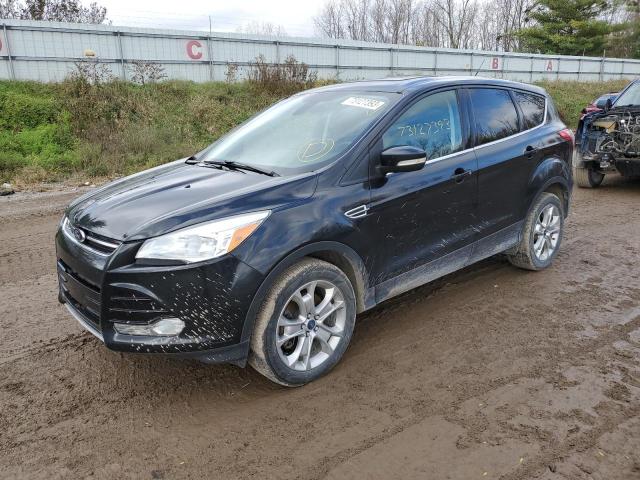 FORD ESCAPE SEL 2013 with VIN 1FMCU0H94DUC53904 - Photo from auction