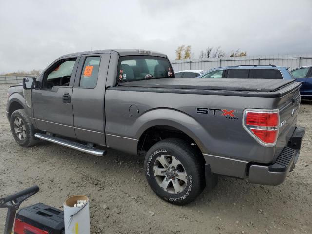 صورة رقم 2 من المزاد - 2013 FORD F150 SUPER مع VIN 1FTFX1EF0DFC05281