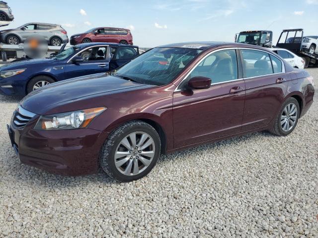 HONDA ACCORD EXL 2012 with VIN 1HGCP2F8XCA172439 - Photo from auction