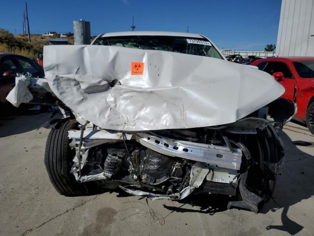 Photo 5 from auction – 2023 HONDA PILOT EXL with VIN 5FNYG1H53PB025118