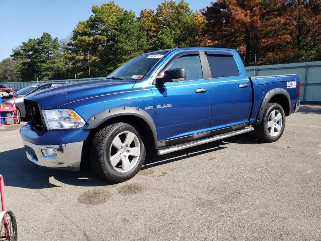 DODGE RAM 1500 2009 with VIN 1D3HV13T49J515355 - Photo from auction