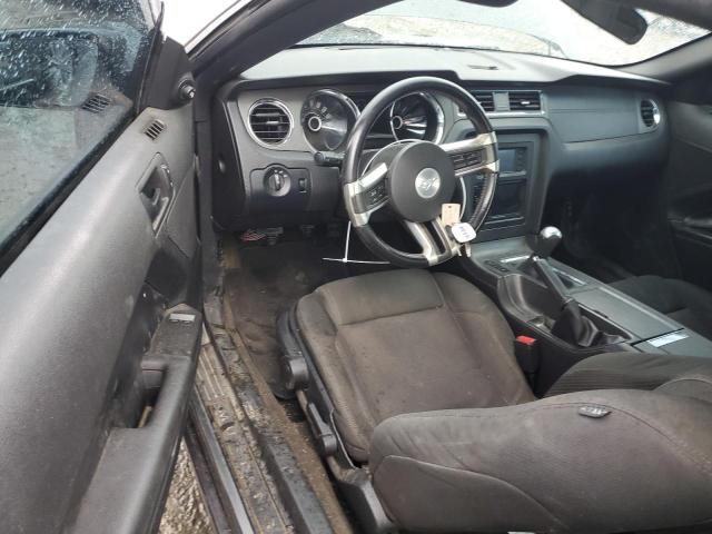Photo 8 from auction – 2013 FORD MUSTANG with VIN 1ZVBP8AM4D5259245