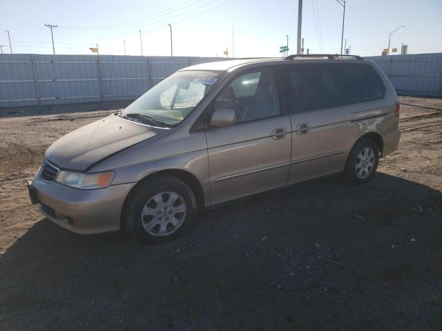 HONDA ODYSSEY EX 2002 with VIN 2HKRL18662H526233 - Photo from auction