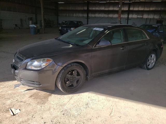 CHEVROLET MALIBU LS 2011 with VIN 1G1ZB5E17BF157064 - Photo from auction