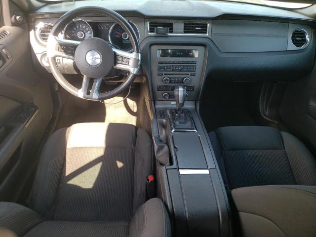 Photo 8 from auction – 2014 FORD MUSTANG with VIN 1ZVBP8EM4E5314188