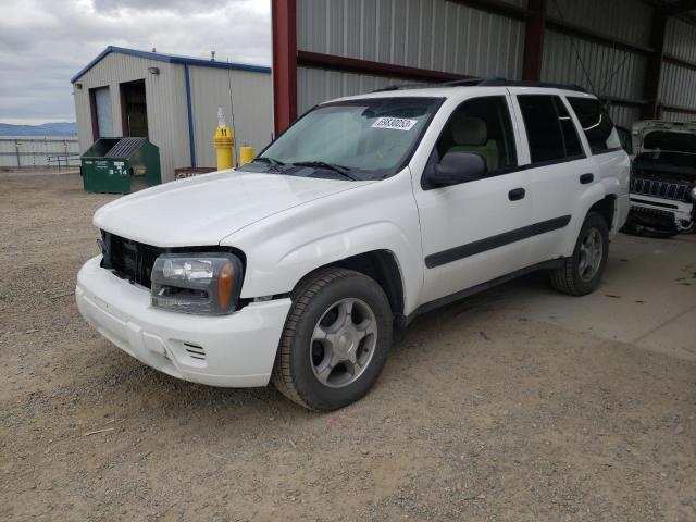 CHEVROLET TRAILBLAZE 2005 with VIN 1GNDT13S552187816 - Photo from auction