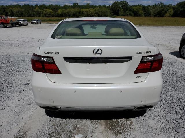 Photo 6 from auction – 2009 LEXUS LS 460 with VIN JTHCL46F295001706