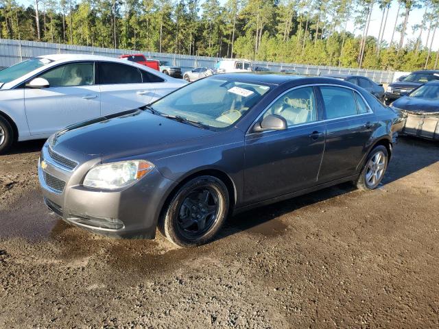CHEVROLET MALIBU LS 2010 with VIN 1G1ZB5EB2AF263896 - Photo from auction
