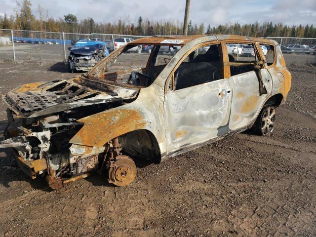 TOYOTA RAV4 LIMIT 2010 with VIN 2T3DF4DV9AW057209 - Photo from auction