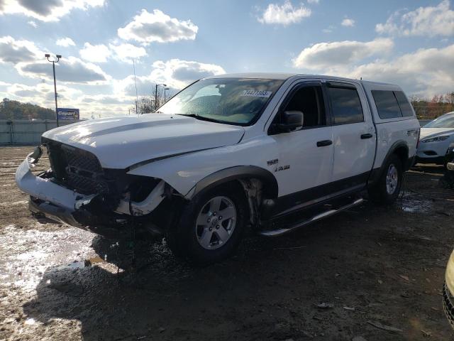 DODGE RAM 1500 2010 with VIN 1D7RV1CT1AS125203 - Photo from auction