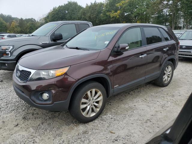 KIA SORENTO EX 2011 with VIN 5XYKUDA26BG003373 - Photo from auction