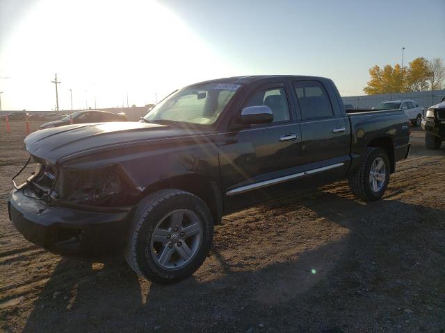 DODGE DAKOTA QUA 2008 with VIN 1D7HW58N78S602804 - Photo from auction
