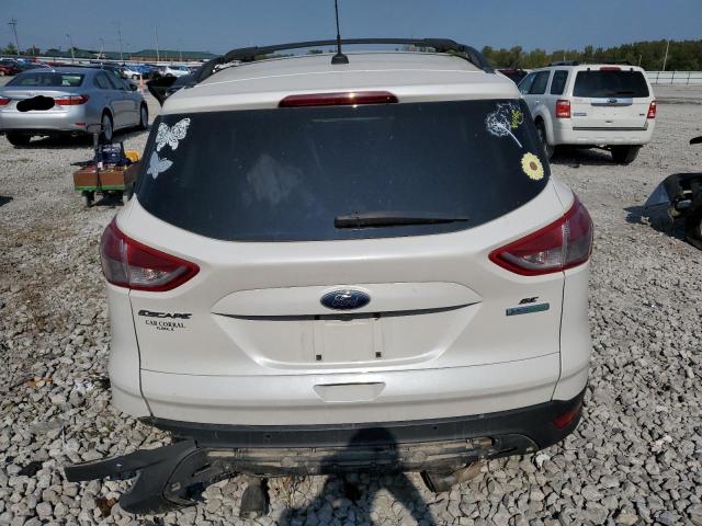 Photo 6 from auction – 2014 FORD ESCAPE SE with VIN 1FMCU0GX1EUA52656