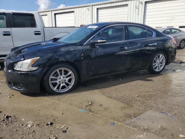 NISSAN MAXIMA S 2009 with VIN 1N4AA51E69C829231 - Photo from auction