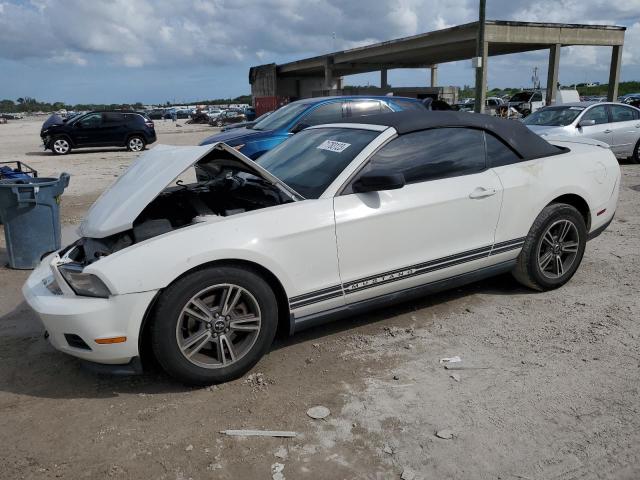 FORD MUSTANG 2012 with VIN 1ZVBP8EM3C5282914 - Photo from auction