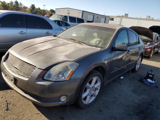 NISSAN MAXIMA SE 2005 z numerem VIN 1N4BA41E45C811058 - Zdjęcie z aukcji
