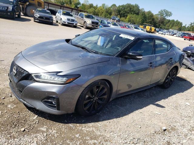 NISSAN MAXIMA SR 2023 with VIN 1N4AA6EV2PC502841 - Photo from auction