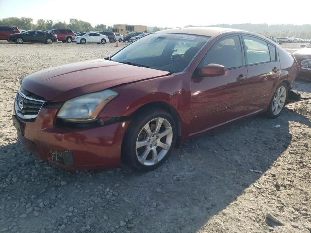 NISSAN MAXIMA SE 2007 with VIN 1N4BA41E27C818593 - Photo from auction