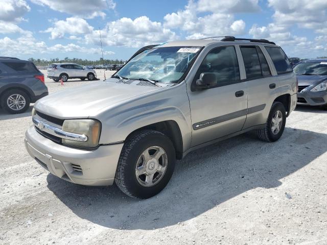 Photo 1 from auction – 2003 CHEVROLET TRAILBLAZE with VIN 1GNDS13S032379743