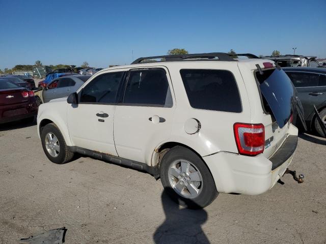 Photo 2 from auction – 2009 FORD ESCAPE XLT with VIN 1FMCU03G19KA77354