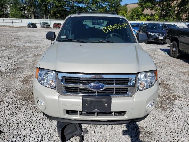Photo 5 from auction – 2009 FORD ESCAPE XLT with VIN 1FMCU93719KB09630